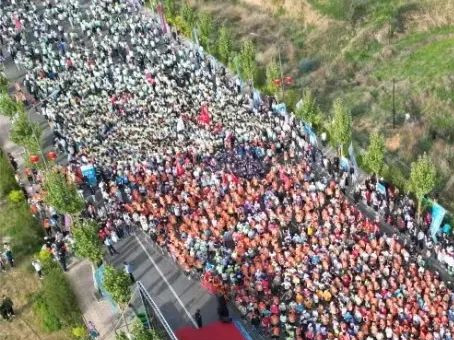 �Ƿ�����(�й���)-�ٷ���վ